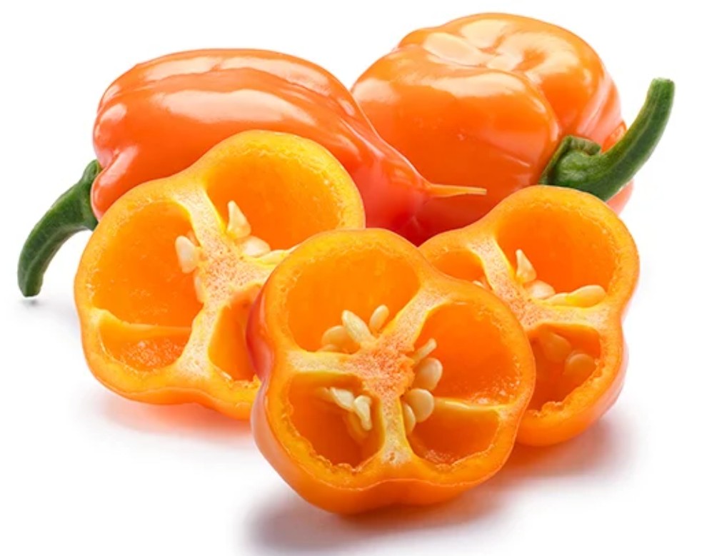 Habanero Fused Extra Virgin Olive Oil
