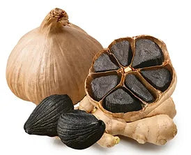 Ginger & Black Garlic Premium Infused Olive Oil