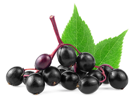 Elderberry Dark Balsamic