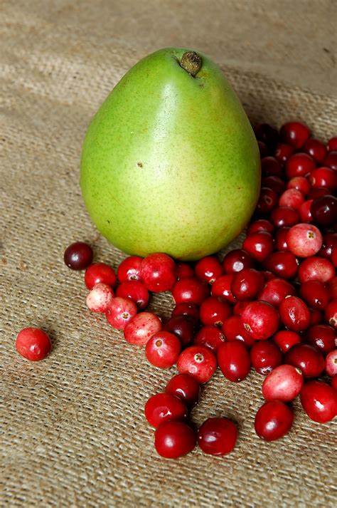 Cranberry - Pear Premium White Balsamic